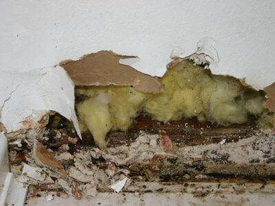 About Trusted Water Damage Professionals Serving Your Area - water damage restoration experts in Cottonton, AL