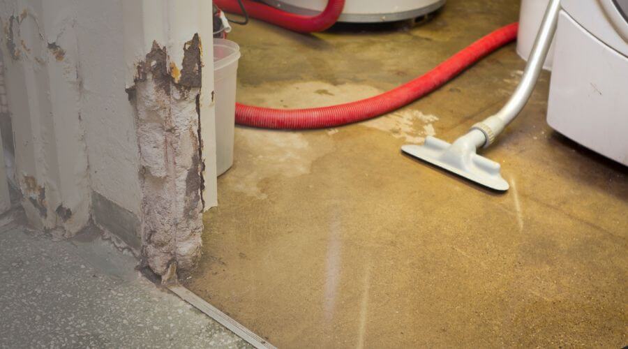 Why choose Trusted Water Damage Professionals Serving Your Area for water damage restoration in Cottonton, AL